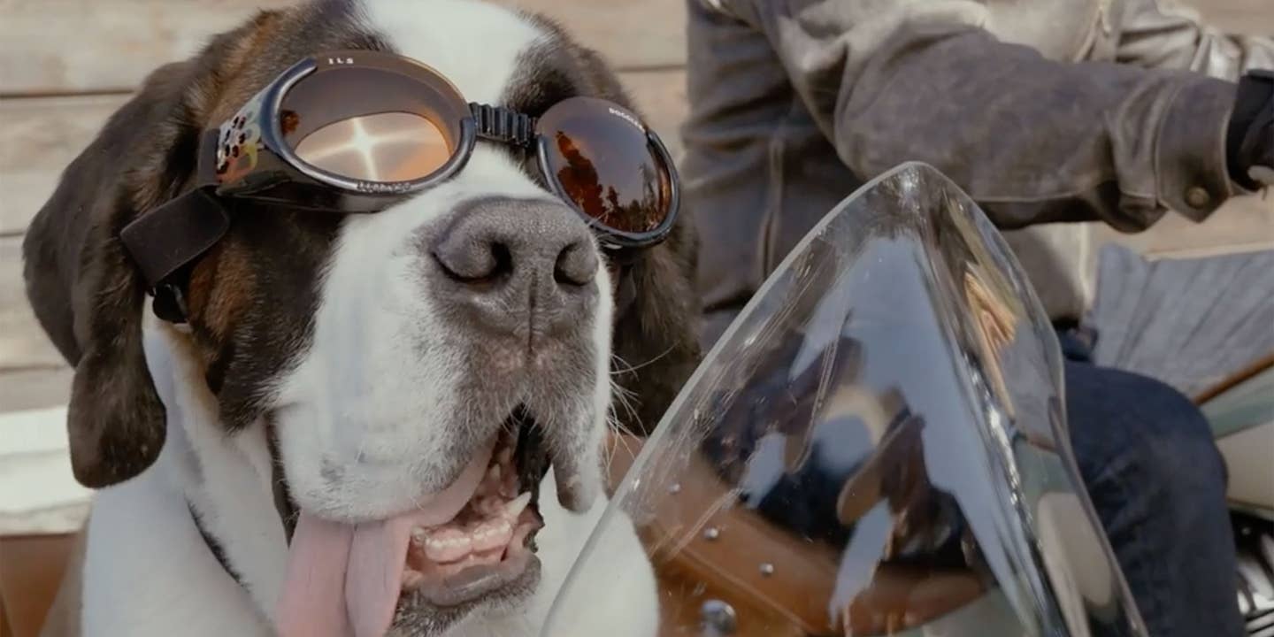 Sidecar-Riding St. Bernards Are The Best Thing About SXSW