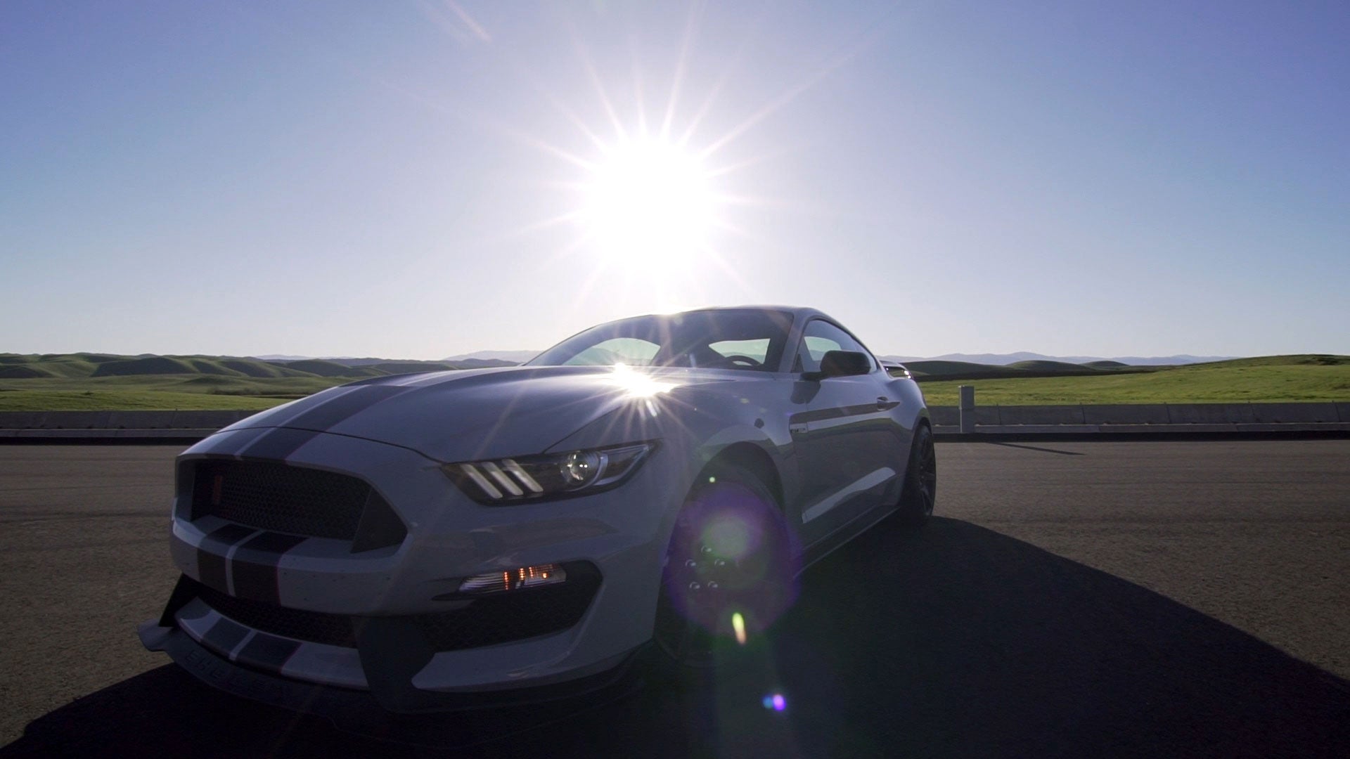 The Mustang GT350R Is a Screaming Exotic at Muscle Car Prices