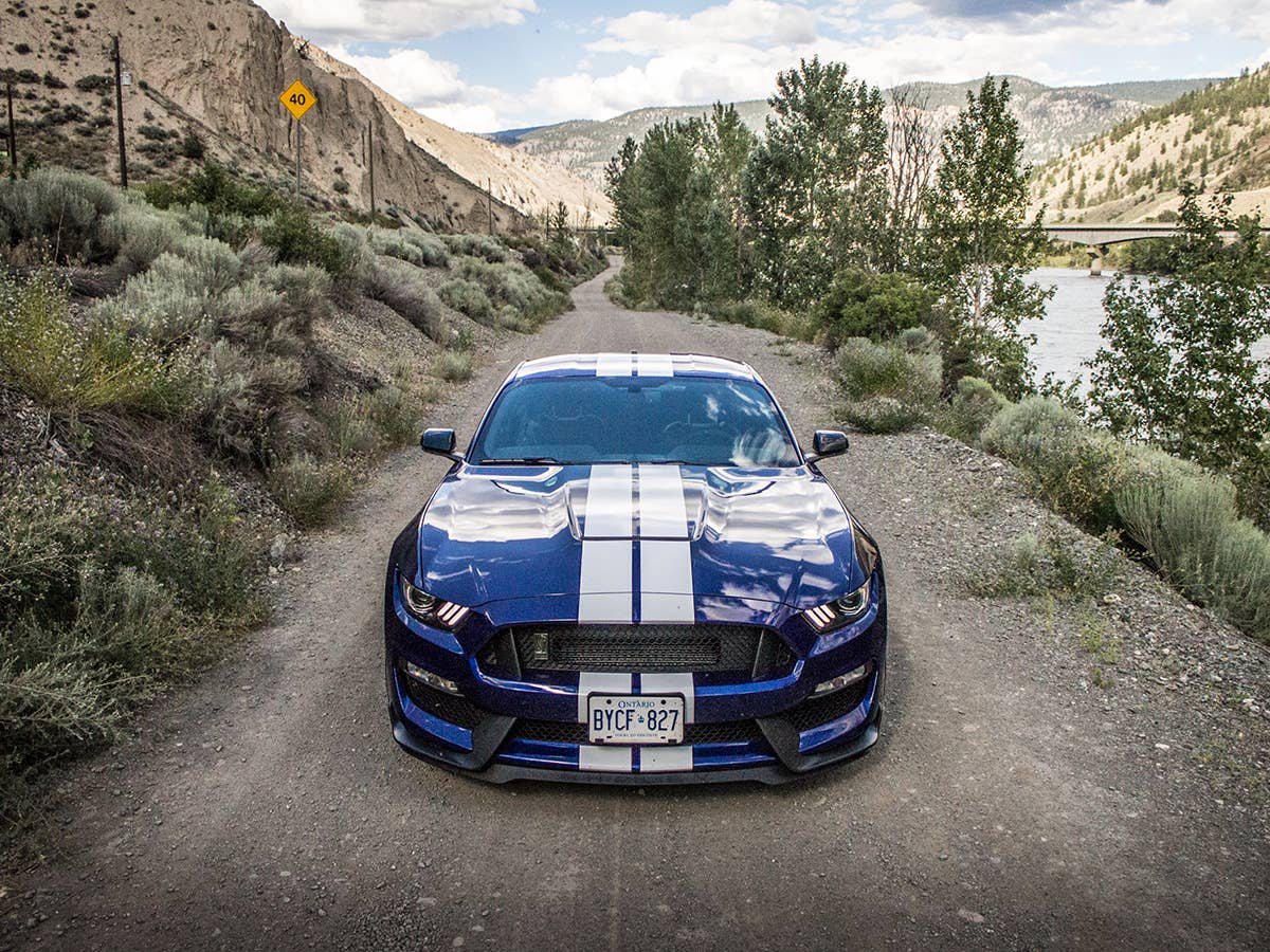 Ford Shelby Mustan GT350