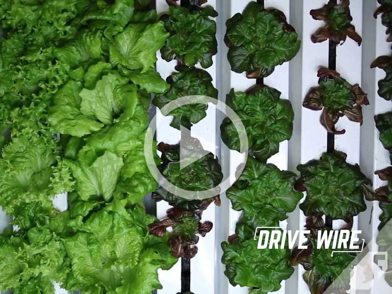 Drive Wire: The Farm That Fits in a Semi Trailer