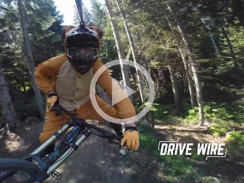 Drive Wire: Mountain Lion Costumes Make Biking Better