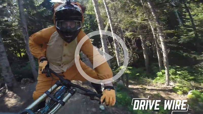 Drive Wire: Mountain Lion Costumes Make Biking Better