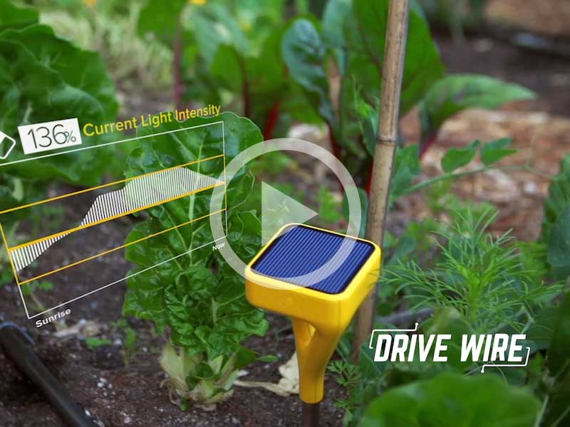 Drive Wire: The Edyn Can Turn Your Garden To A Paradise