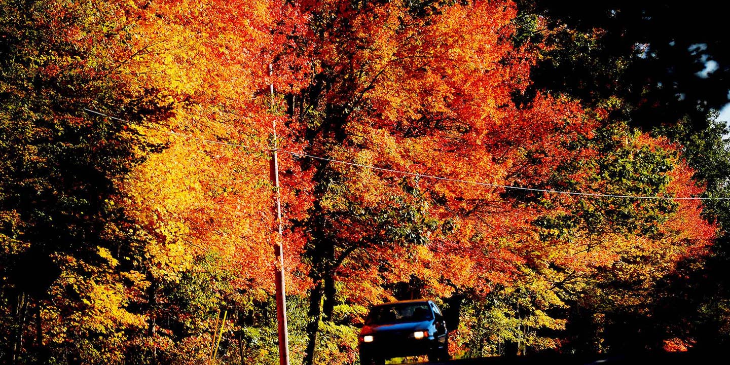 Fall Foliage Guide to These United States