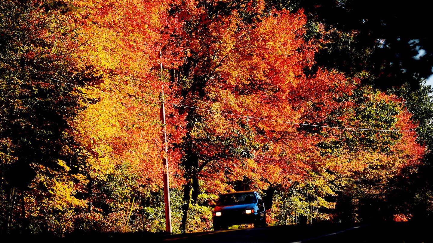 Fall Foliage Guide to These United States