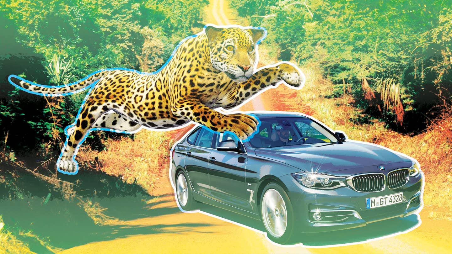 Jaguar Restores the Roar