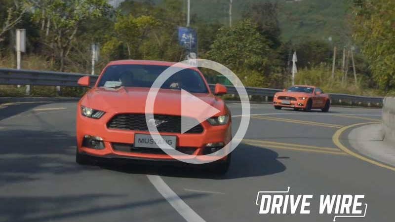 Drive Wire: Confirmed: The World Loves Mustangs