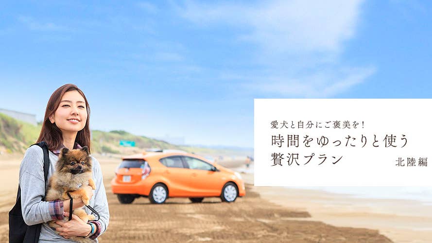 Toyota News photo