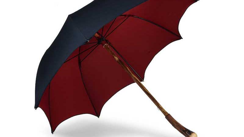 The Twofer: The Ultimate Umbrella and the Original Morgan