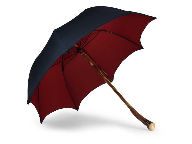 The Twofer: The Ultimate Umbrella and the Original Morgan