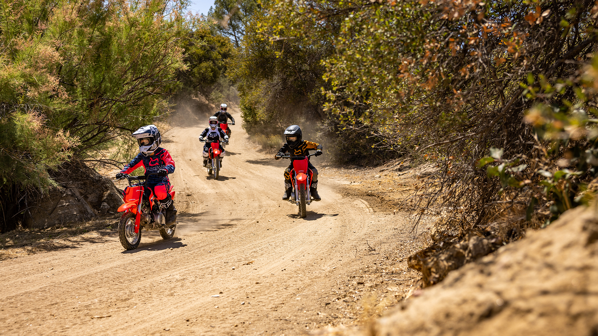 Best Pit Bikes (Review and Buying Guide) in 2023 The Drive