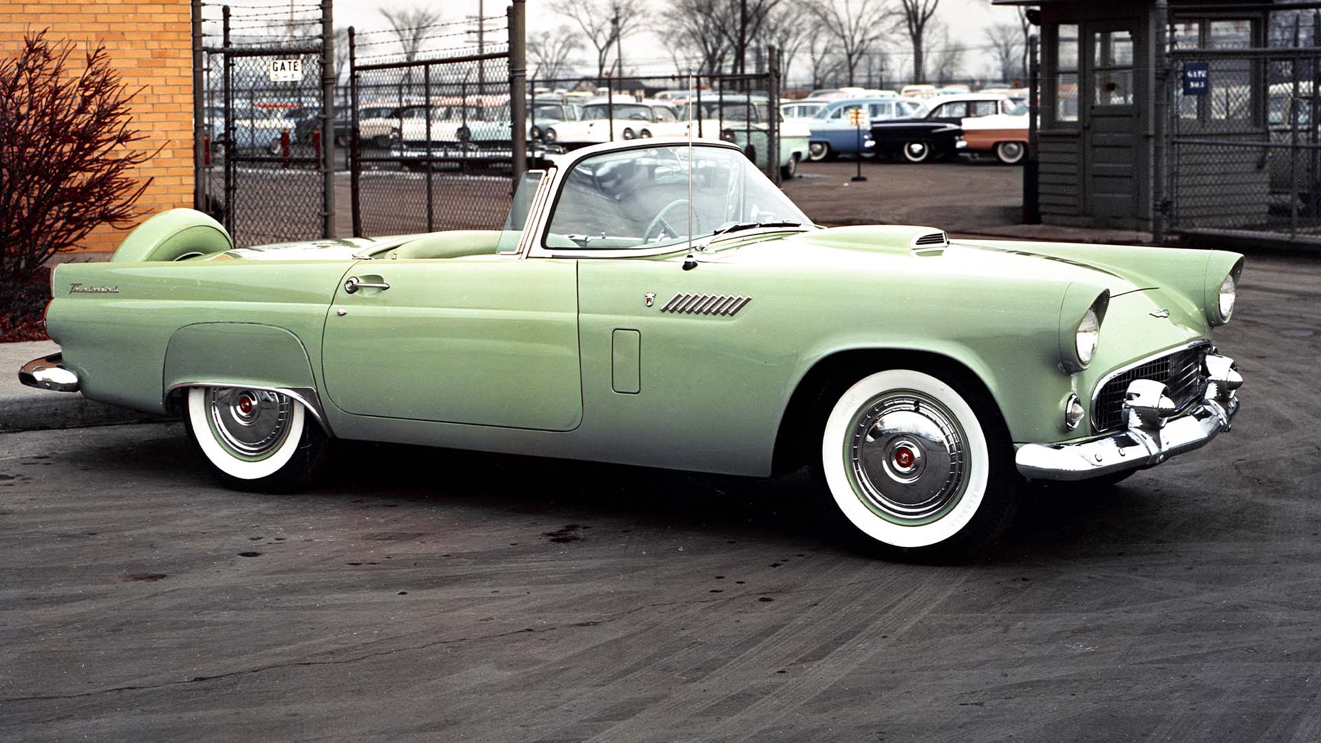 Ford Thunderbird Might Be Revived as a Corvette Fighter: Report