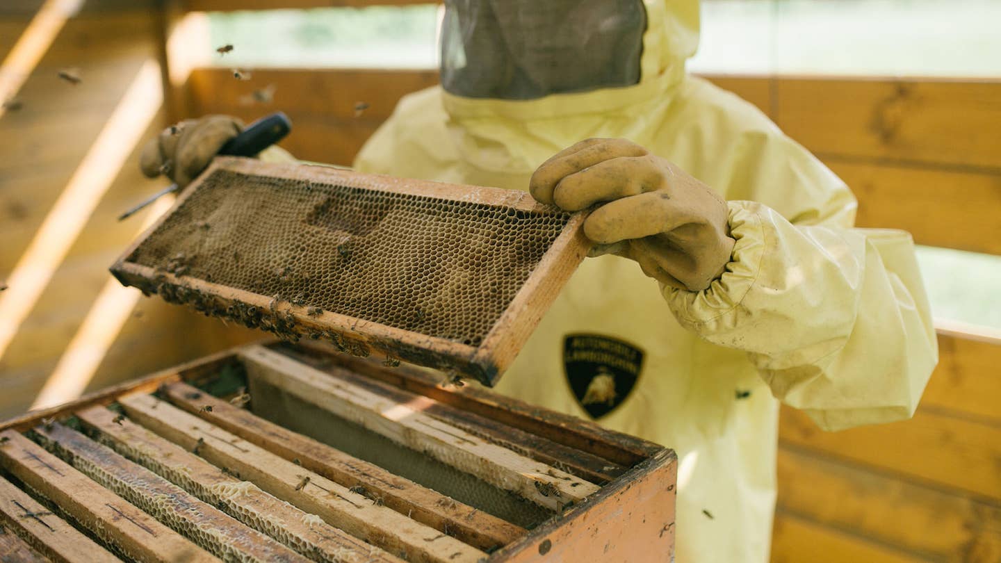 Why Do Car Companies Keep So Many Bees?