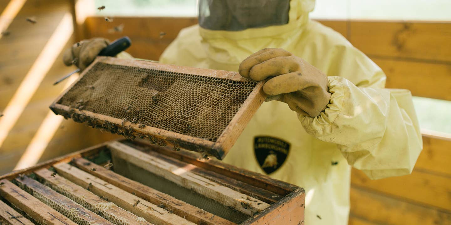 A beekeeper in a Lamborghini-branded protective suit caring for a bee hive