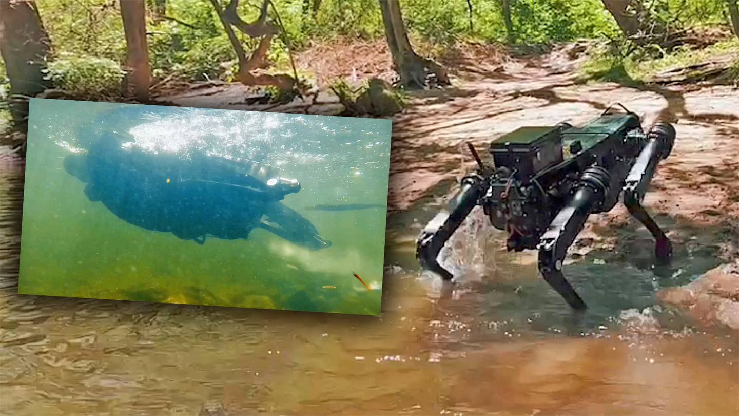 A picture showing a Ghost Robotics Vision 60 quadrupedal unmanned ground vehicle equipped with a Nautical Autonomous Unmanned Tail emerging from a river, along with an inset showing it swimming in the water.