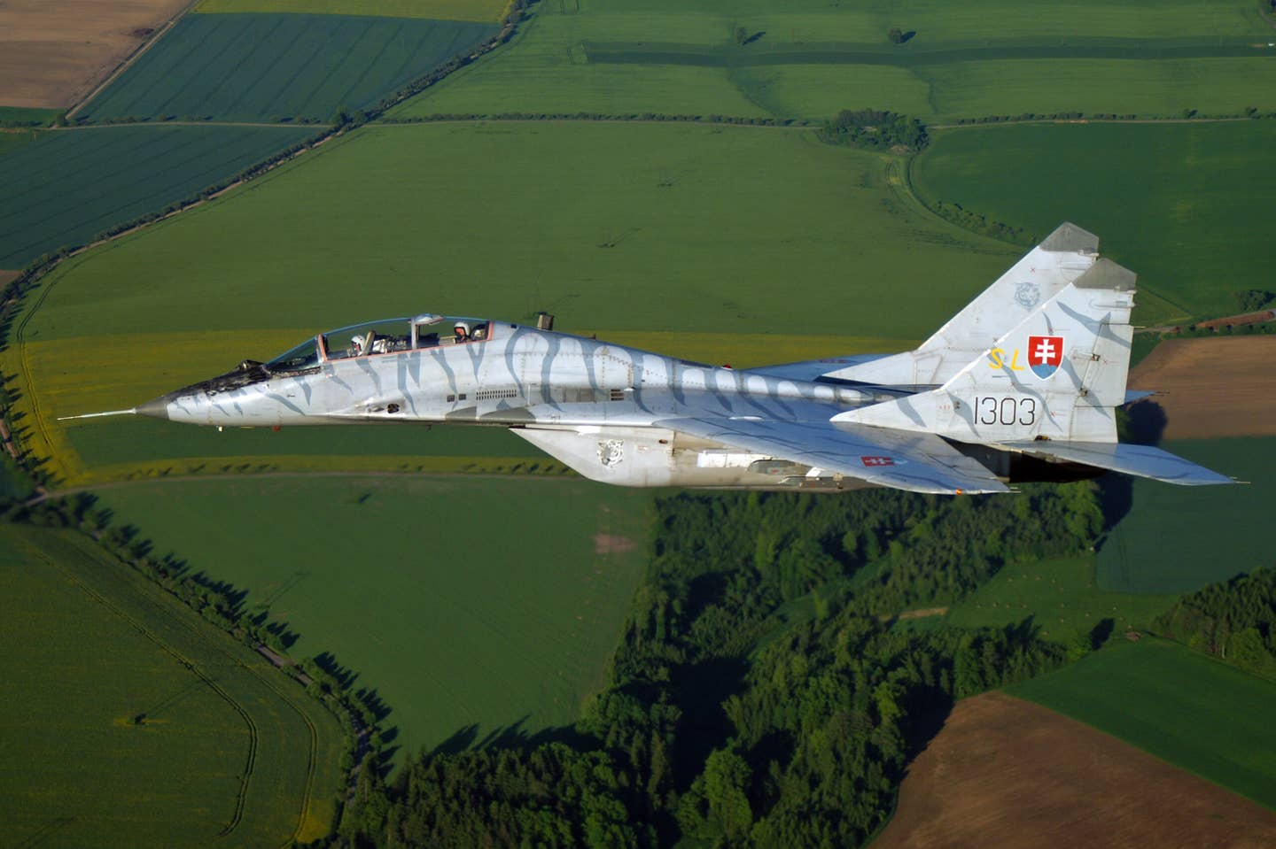 Slovak MiG-29 in flight over the countryside. <em>Credit: Milan Nykodym/Wikimedia Commons</em>