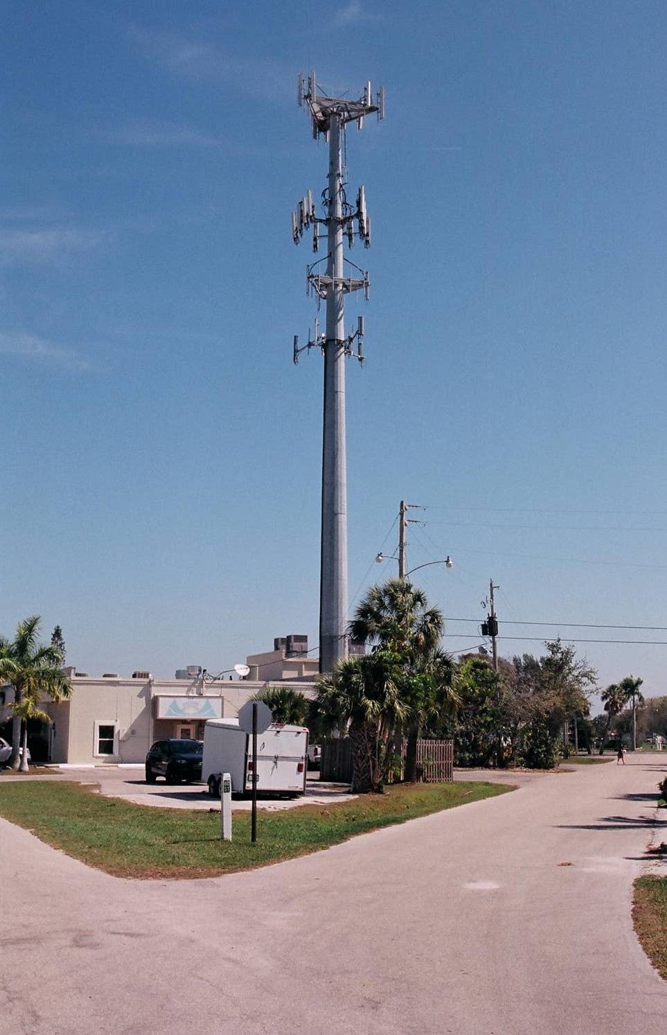 Cell phone tower in Holmes Beach, Florida. <em>Yvesmayrand/Wikimedia Commons</em>