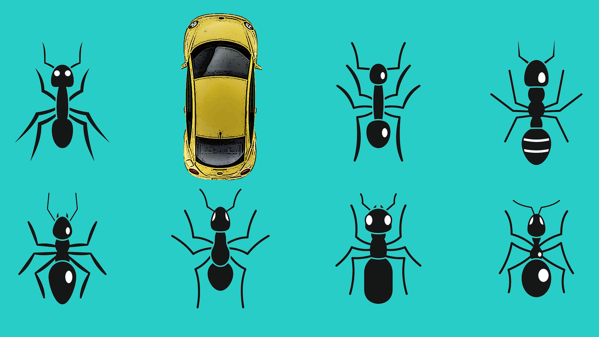 How to Remove Bugs From Your Car