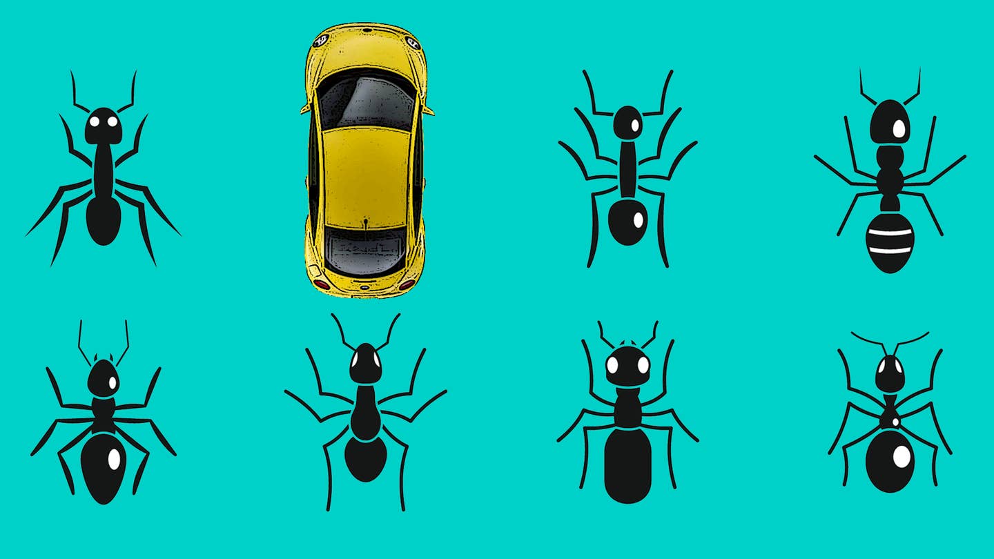 How To Remove Ant, Spider, and Other Bug Infestations From Your Car