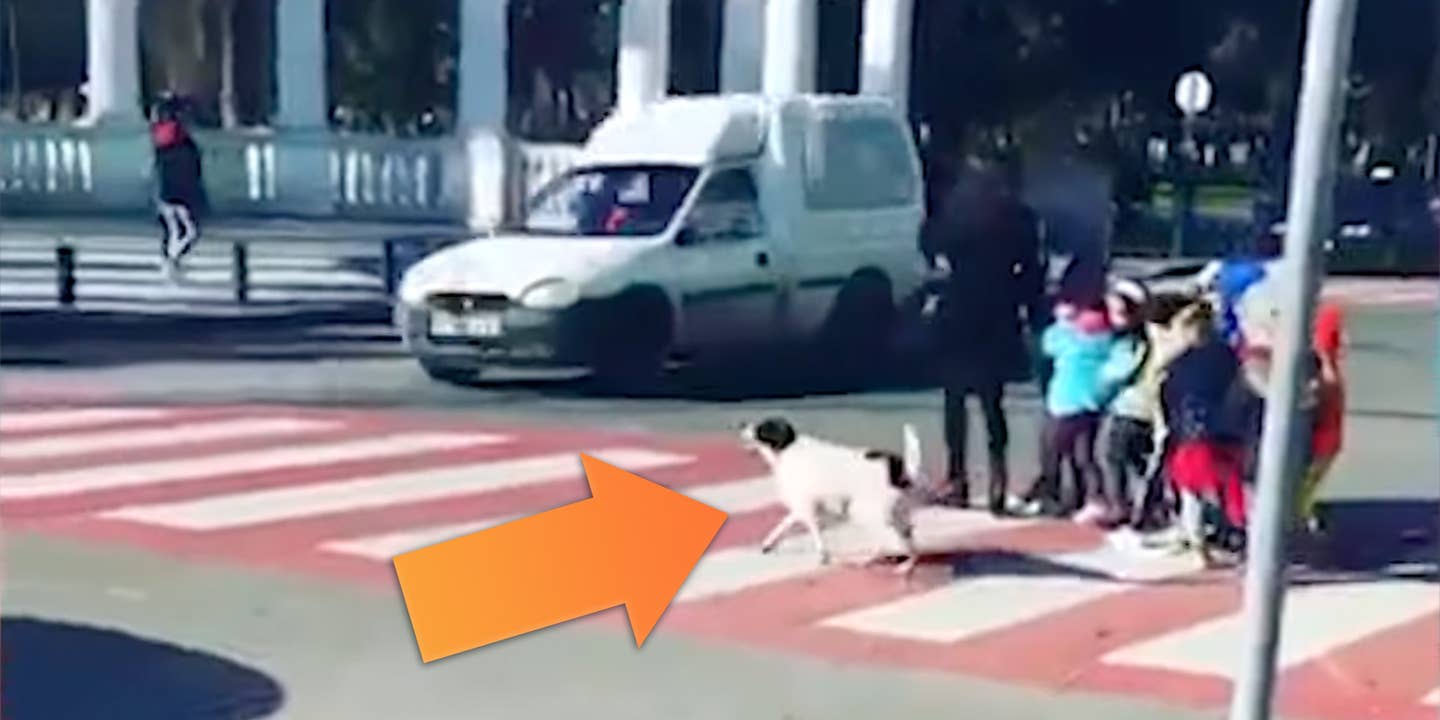 A stray dog barks at a passing van as kids attempt to cross the road in Georgia