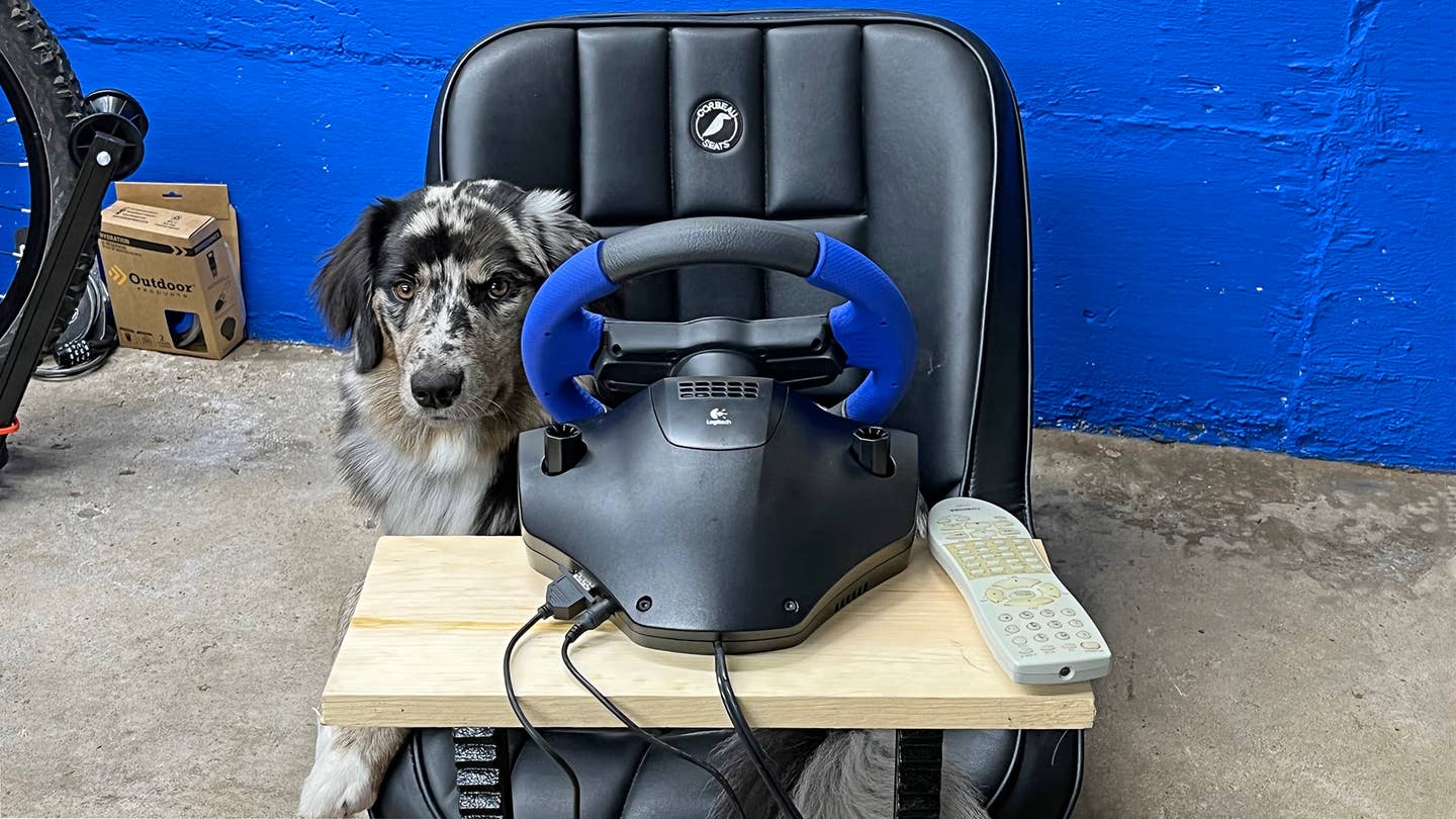 Dog playing PlayStation driving game.