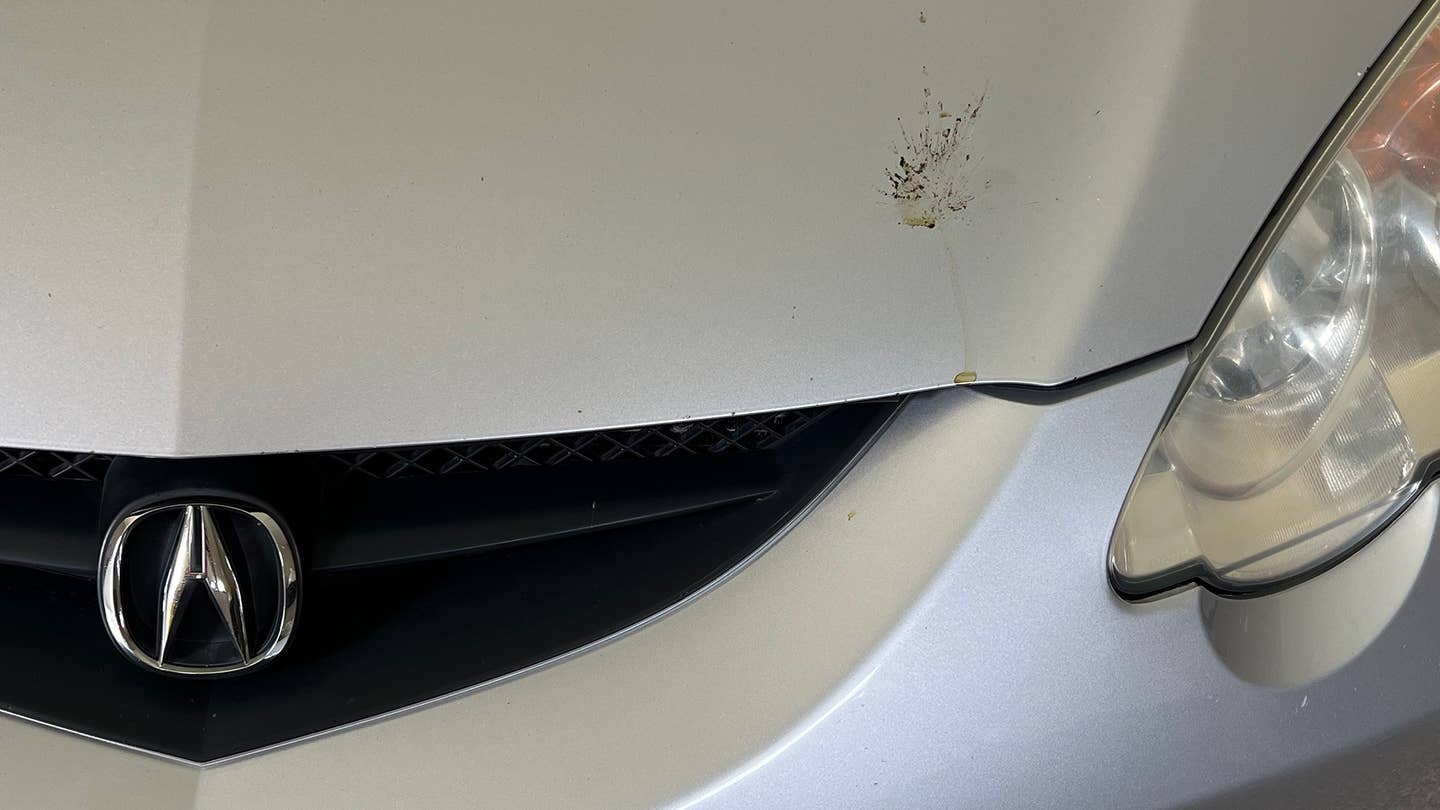 Bird poop on an Acura RSX.
