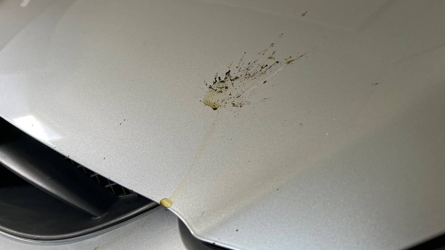 Bird poop on a silver car.