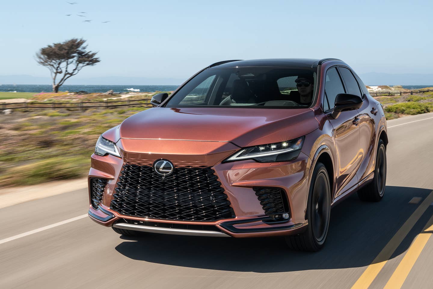 The RX 500h F Sport in Copper Crest, which is a new color. <em>Lexus</em>