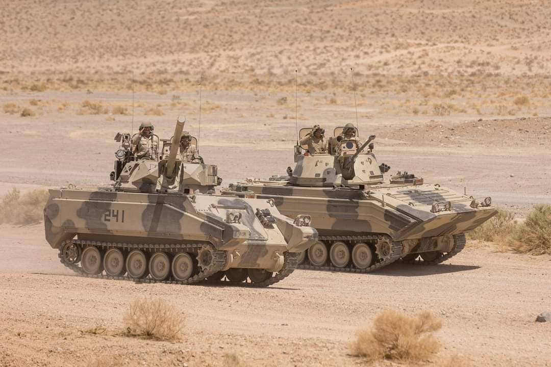 Members of the 11th ACR and some of their modified M113 armored vehicles used to emulate dissimilar adversary types. (US Army)