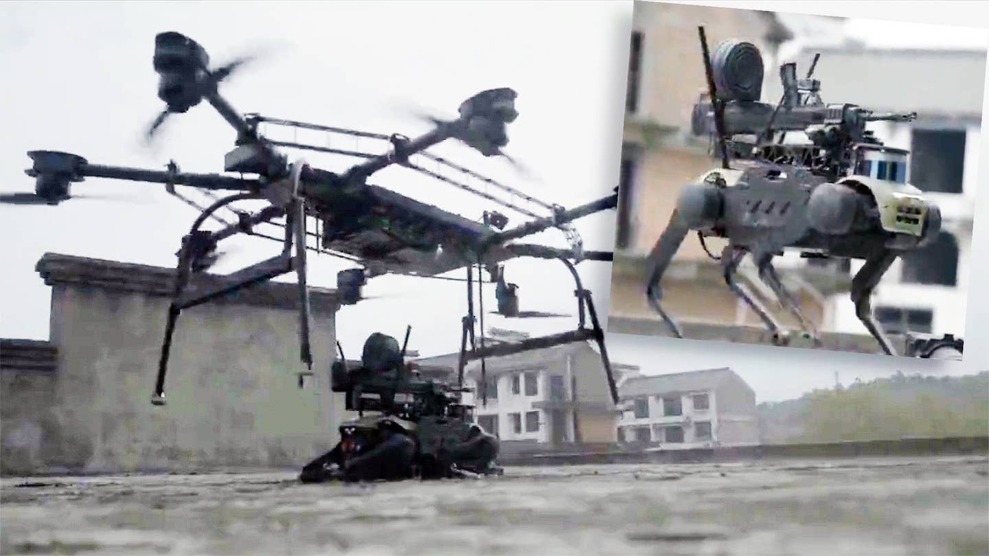 Chinese drone dog roof