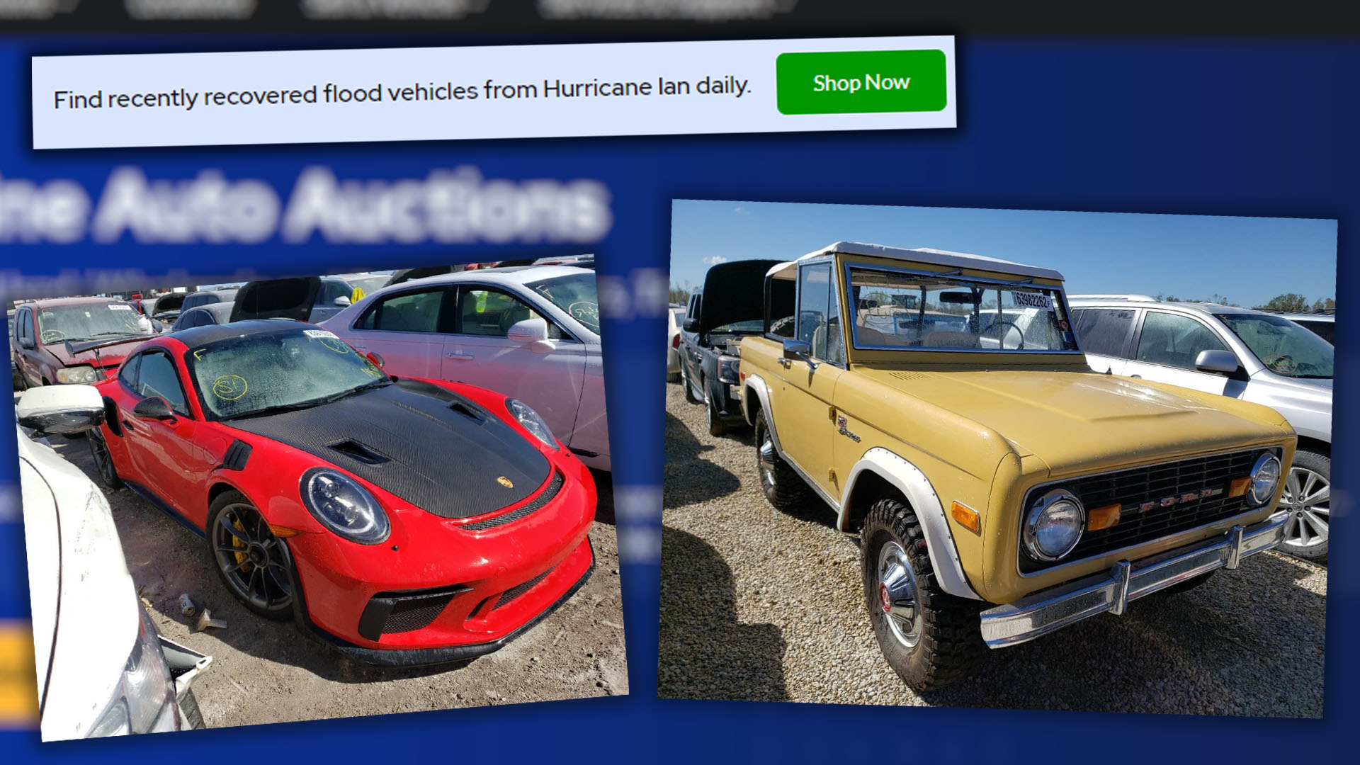 Thousands Of Cars Damaged By Hurricane Ian Are Up For Auction At Bargain  Prices