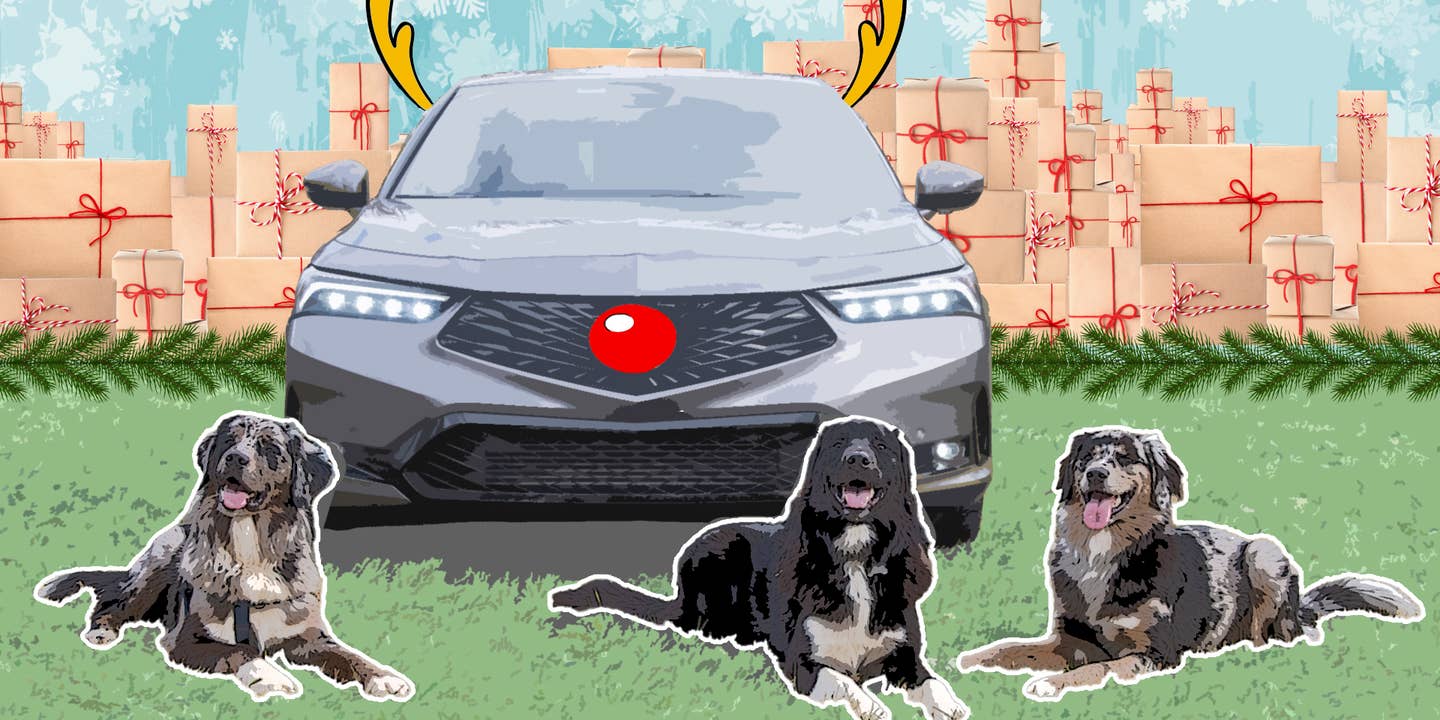 Here’s What You Need to Get Dog Lovers: The Drive Holiday Gift Guide