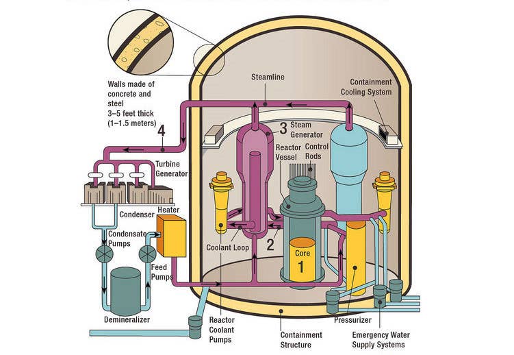 A diagram showing the general components of a pressurized water reactor and how it functions. <em>USNRC</em>