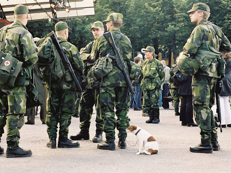 Swedish Home Guard members with AK 4 rifles. <em>Peter Fristedt via Wikimedia</em>
