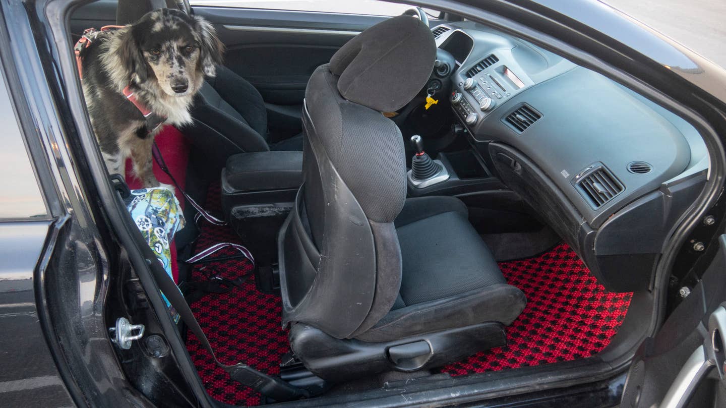 See a lot more of Bramble the dog and her brothers in our "Will It Dog?" car review for canine owners series. Here's what our mutts thought of the <a href="https://www.thedrive.com/car-reviews/2023-genesis-g70-review-for-dog-owners" target="_blank" rel="noreferrer noopener">Genesis G70 sport luxe sedan</a>. <em>Andrew P. Collins</em>