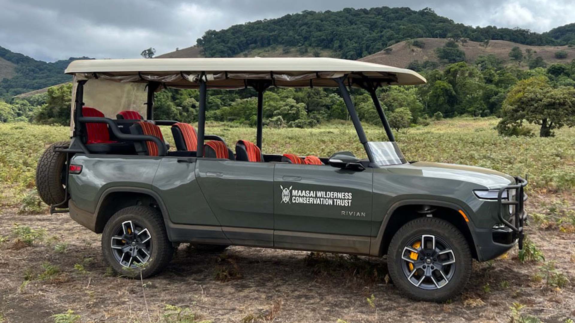 safari golf cart