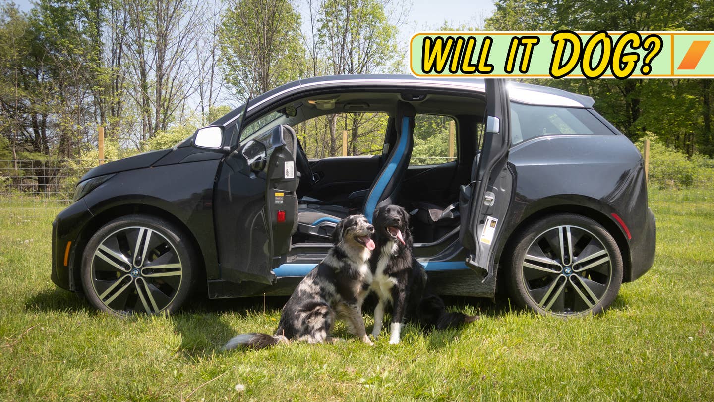 BMW i3 Review: Will It Dog?