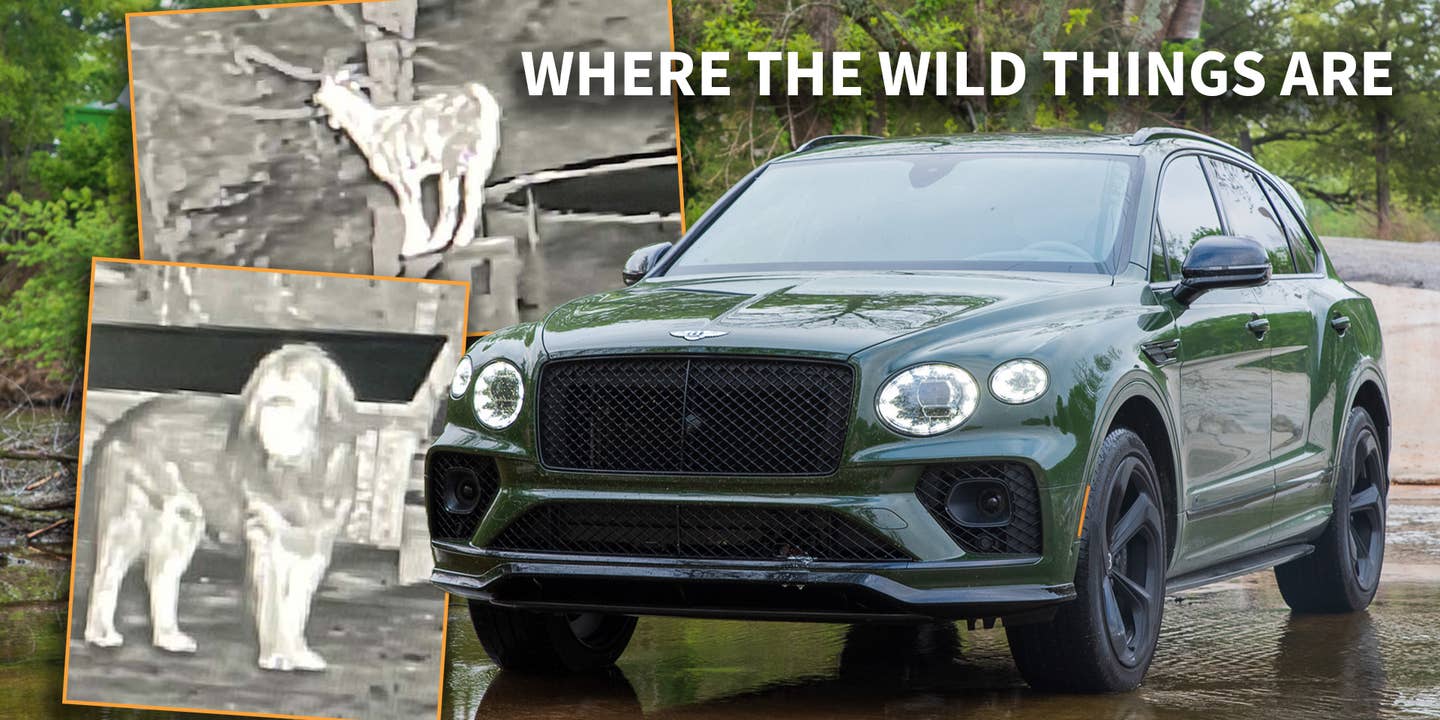 2023 Bentley Bentayga Night Vision Test: Critter Spotting in the Ozarks