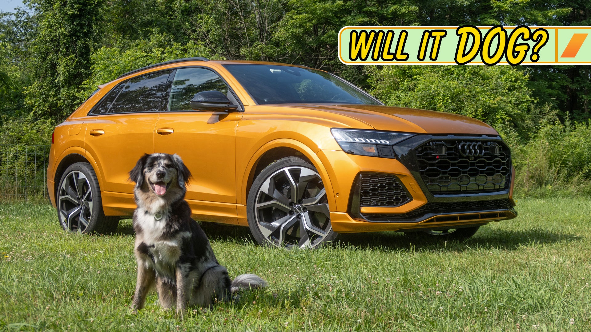 2023 Audi RS Q8 Review: Furiously Fast and Dog Friendly