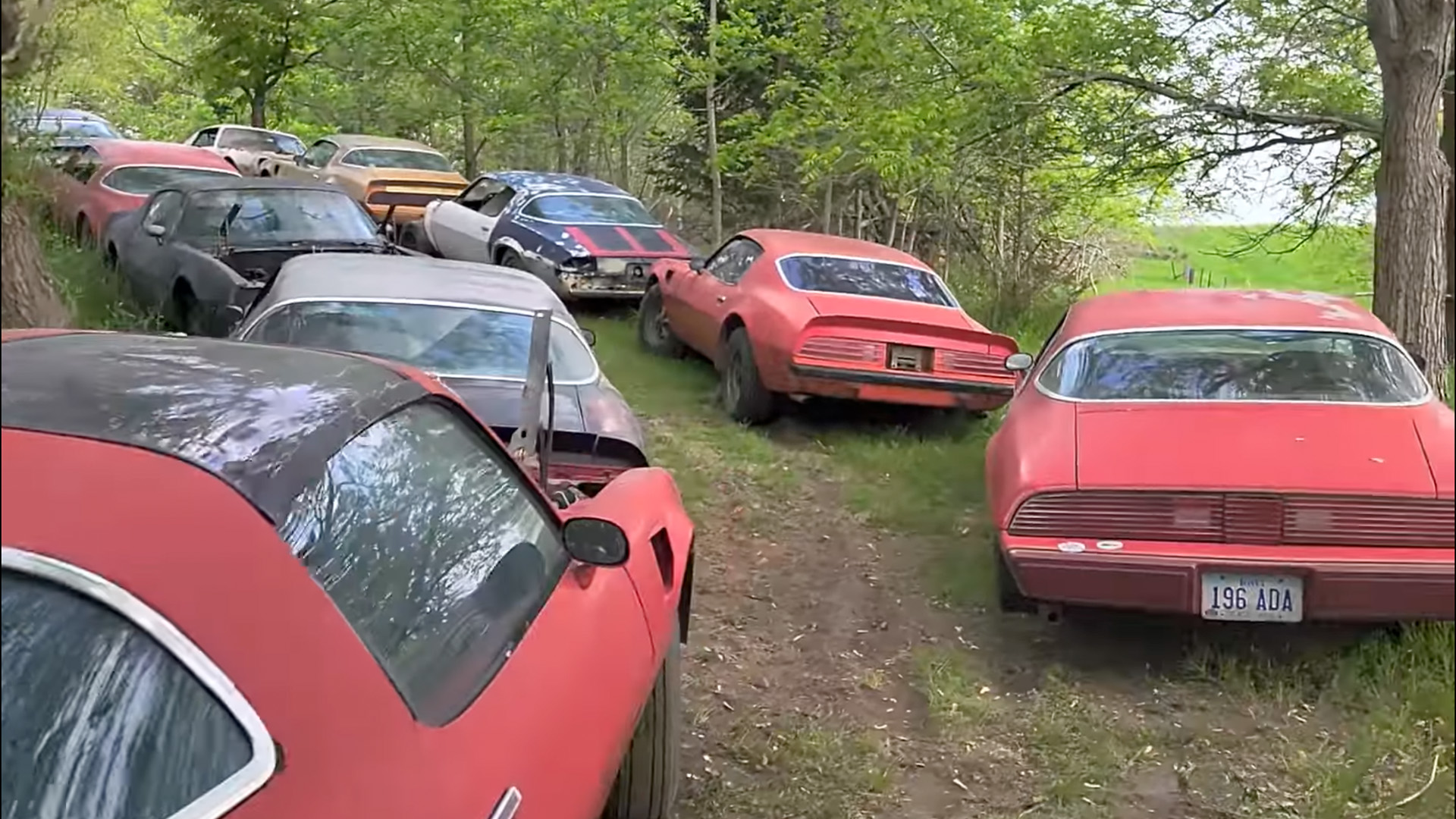 Hoard of 50-Plus Pontiac Trans-Am and Firebird Muscle Cars Up for Grabs