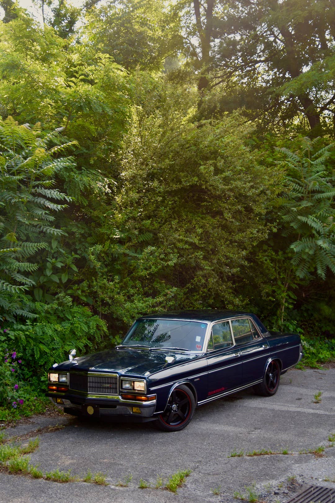 1989 Nissan President with a backdrop of greenery