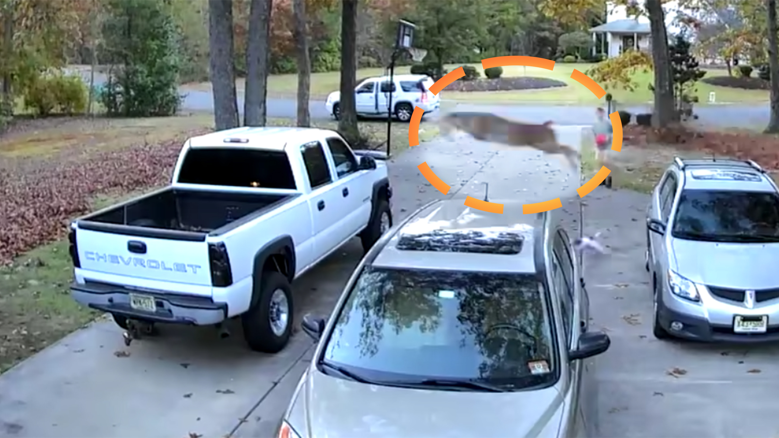 Watch a Flying Deer Hit a Pickup For Sale Just as the Buyer Arrives