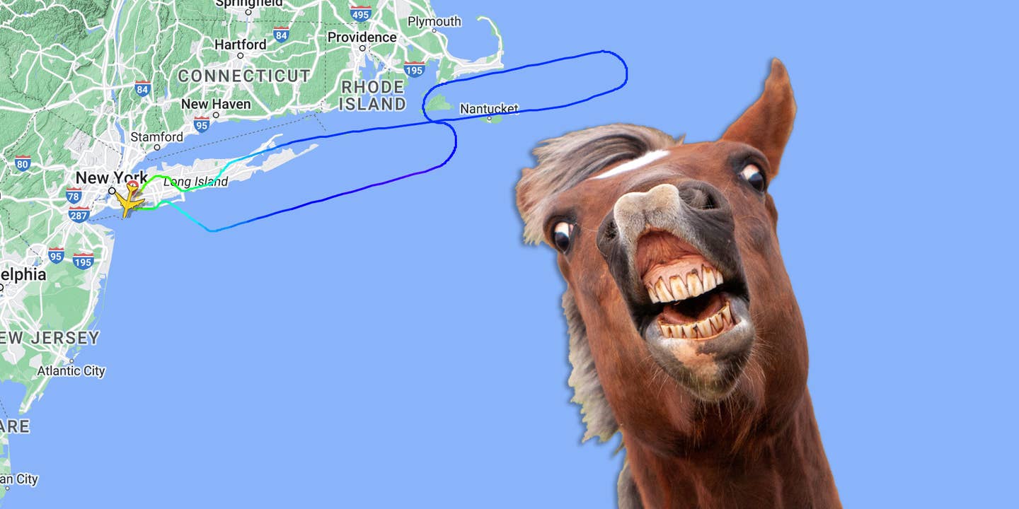 A horse exhibiting the flehmen response with its lips retracted overlaid on an illustration of a plane's flight path