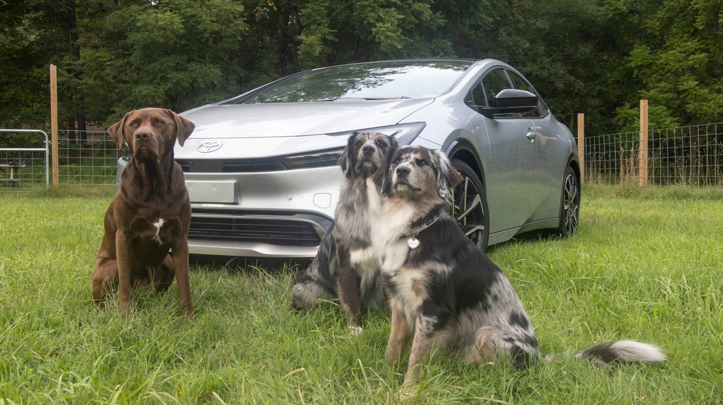 "Why aren't there more pictures of the dogs inside the car," you may ask. Well, it was about 100 degrees ambient when we did this photo shoot, and they were not having it. But they look cuter outside anyway. <em>Andrew P. Collins</em>