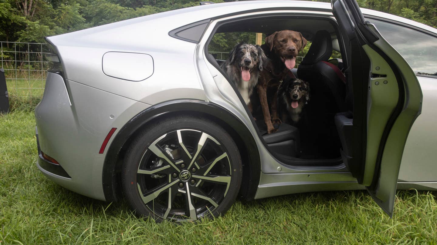 The 90-plus pound lab took up a little more than half of the Prius Prime's rear seat, Bramble had to make do in the footwell. <em>Andrew P. Collins</em>