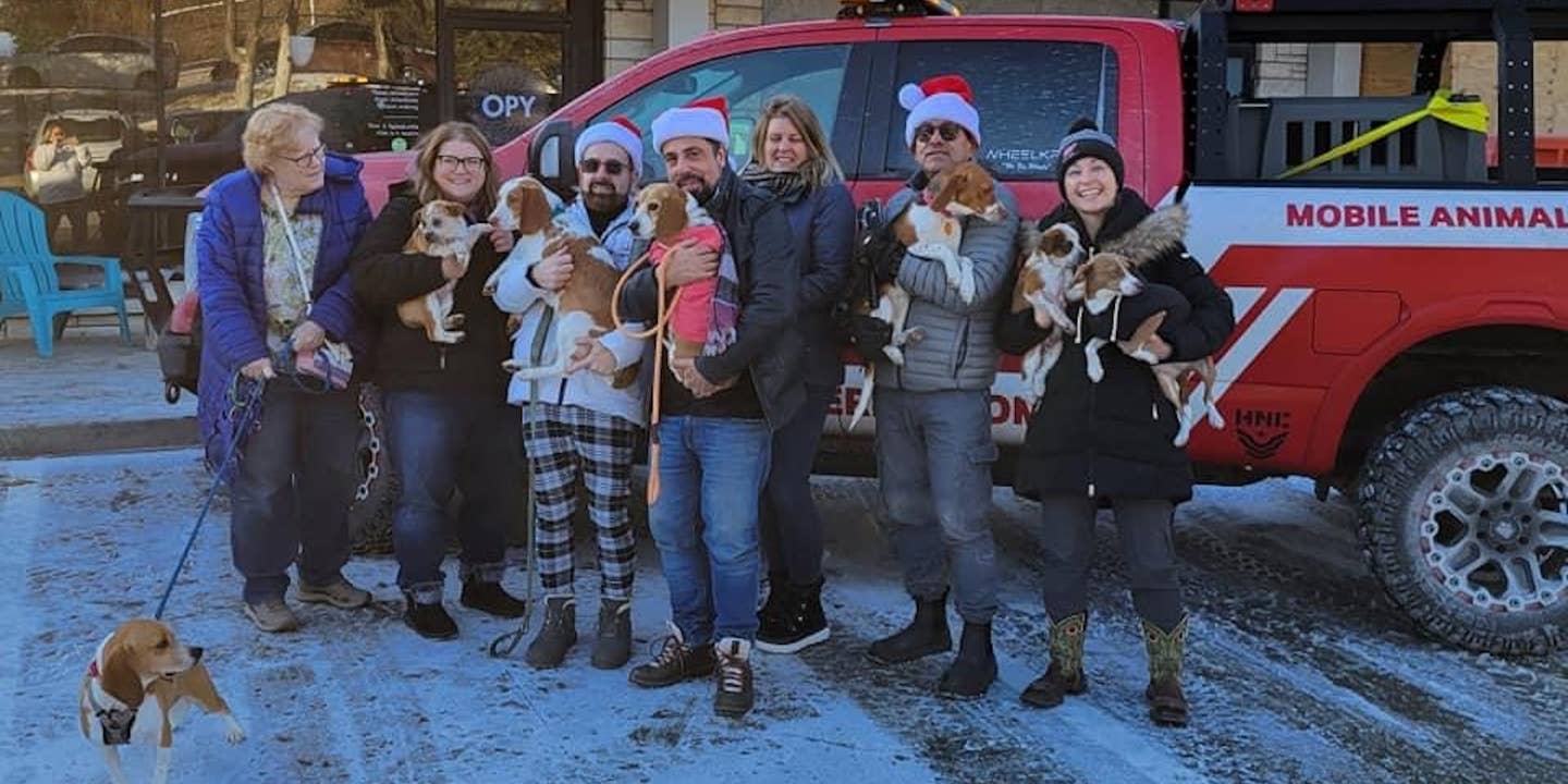 Auto Journalists Unite to Rescue 12 Dogs Just in Time for the Holidays