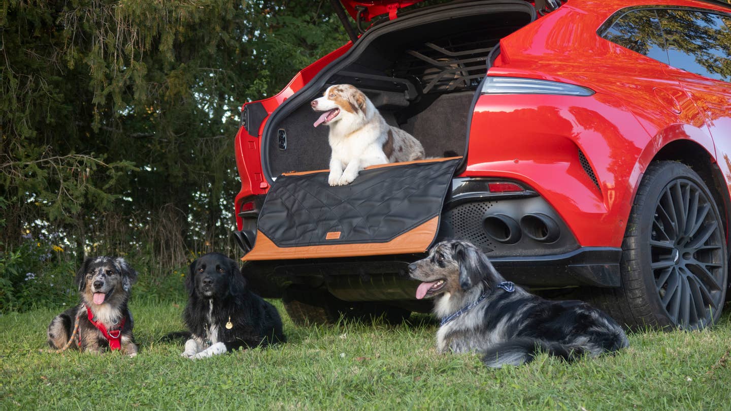 Koda (Aussie Shep in the car) is the mother of Bramble, Silas, and Indi (left to right on the ground). Their dad is a sizable Golden Retriever, who you'll see in an upcoming dog review of the Acura MDX Type S. <em>Andrew P. Collins</em>