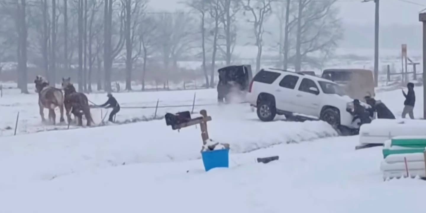 Two horses tug on a stuck white SUV