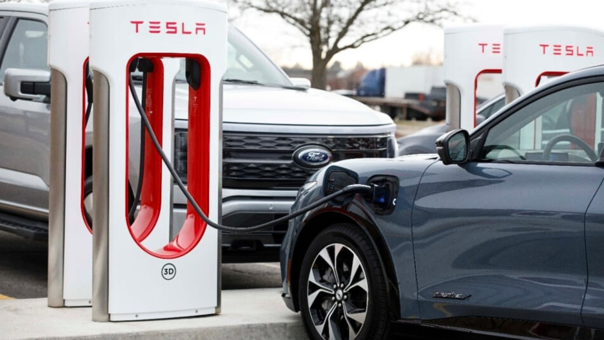 Owners of Ford electric vehicles can reserve a complimentary Tesla Supercharger Adapter at no cost.