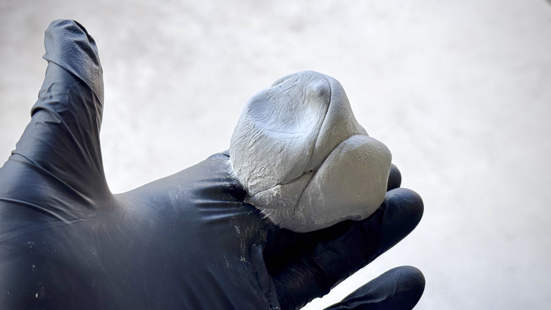 kneading clay bar in gloved hand